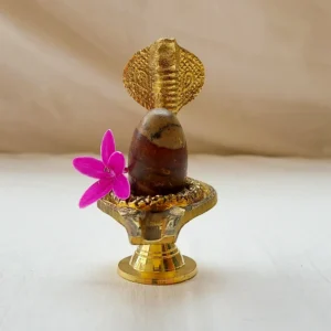 Narmadeshwar Shivling