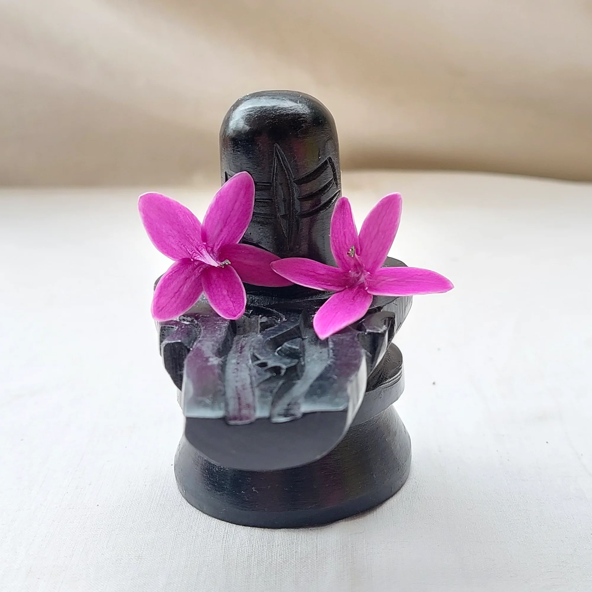 Black Shiva Lingam