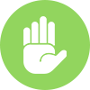 palm