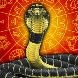 Kaal Sarp Dosh Pooja Vidhi