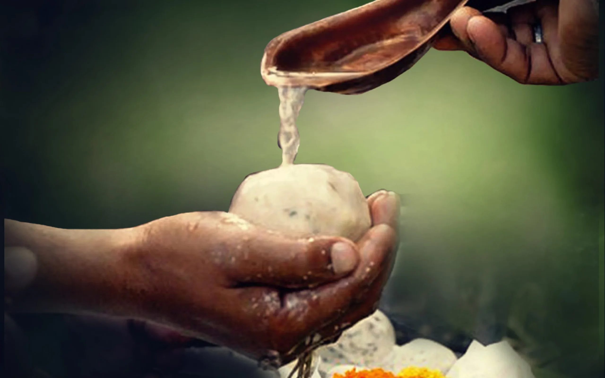 Pitra Dosh Pooja Vidhi
