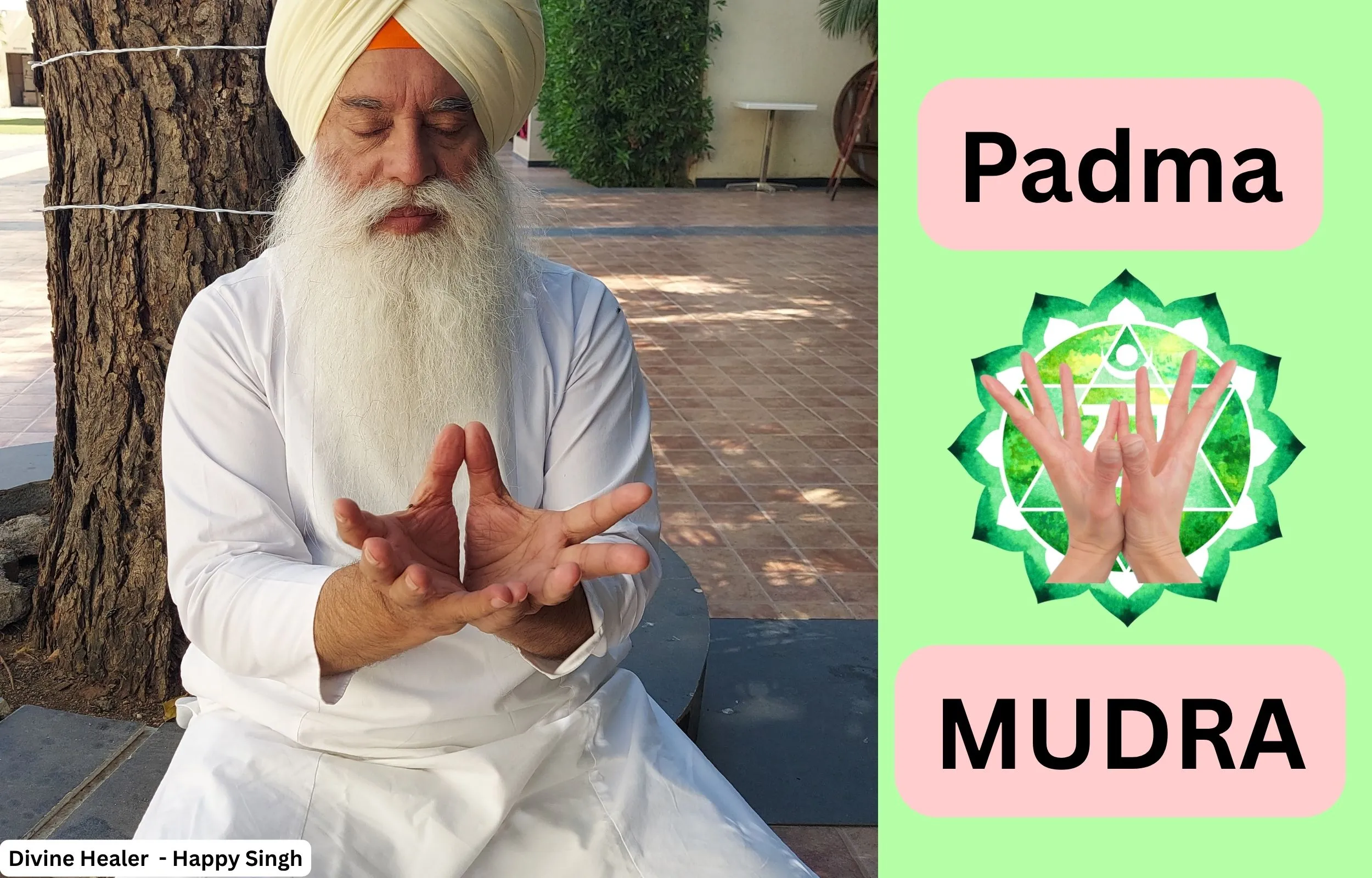 Padma Mudra, 7 Chakra mudra, Divine Healer Happy singh